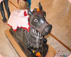 nageshwarnandi-raghvann