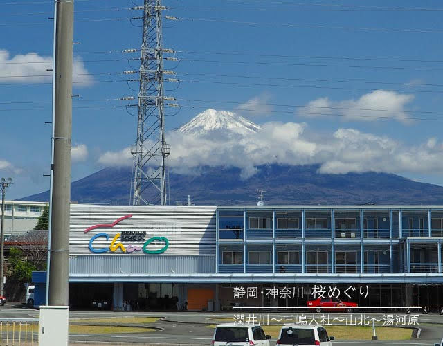 入山瀬駅から見えた富士山