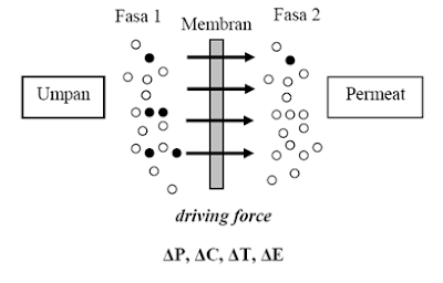 Fasa Membran