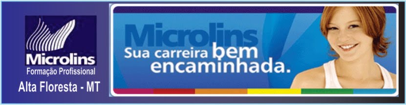Microlins