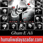 http://www.humaliwalayazadar.com/2015/07/gham-e-ali-ramzan-noha-album-2015.html