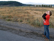 Pix from Yellowstone National ParkSouth Canyon Rim Trail (yellowstone canyon rim )