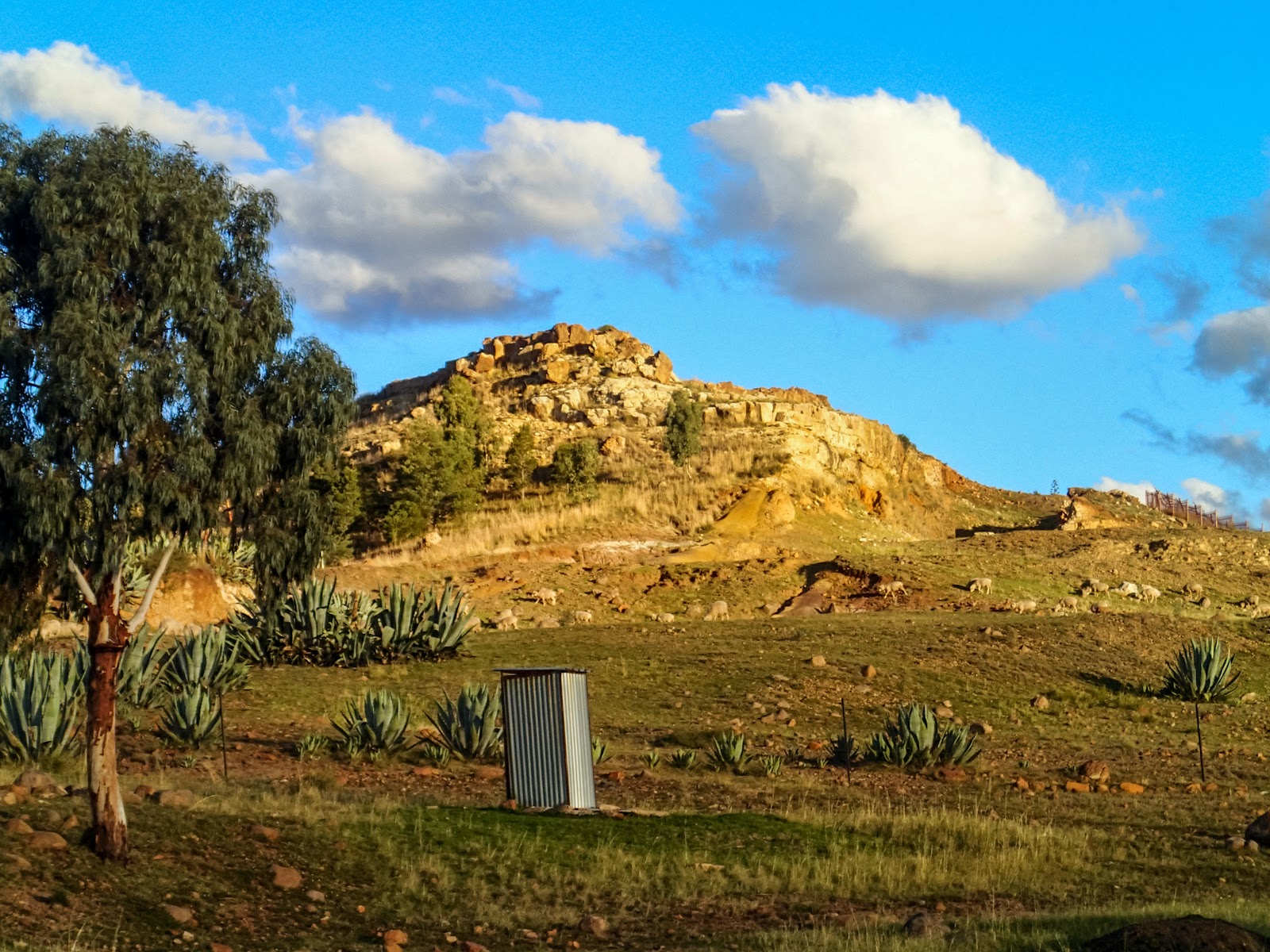 P3280876-2015-03-28-02-49.jpg