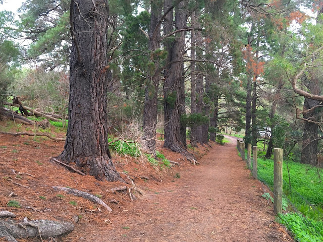 Ruffey Lake Park