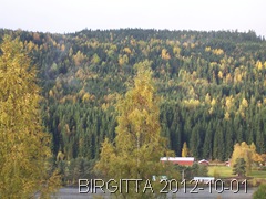 100_7745
