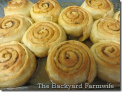 cardamom orange rolls - The Backyard Farmwife