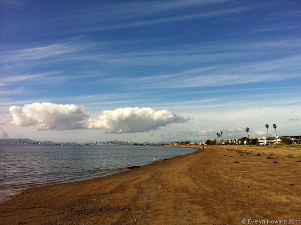 Alameda Beach © Evelyn Howard 2011