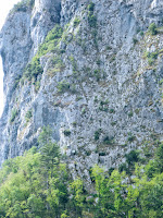 Gli scalini scavati nella roccia della Ferrata del Procinto