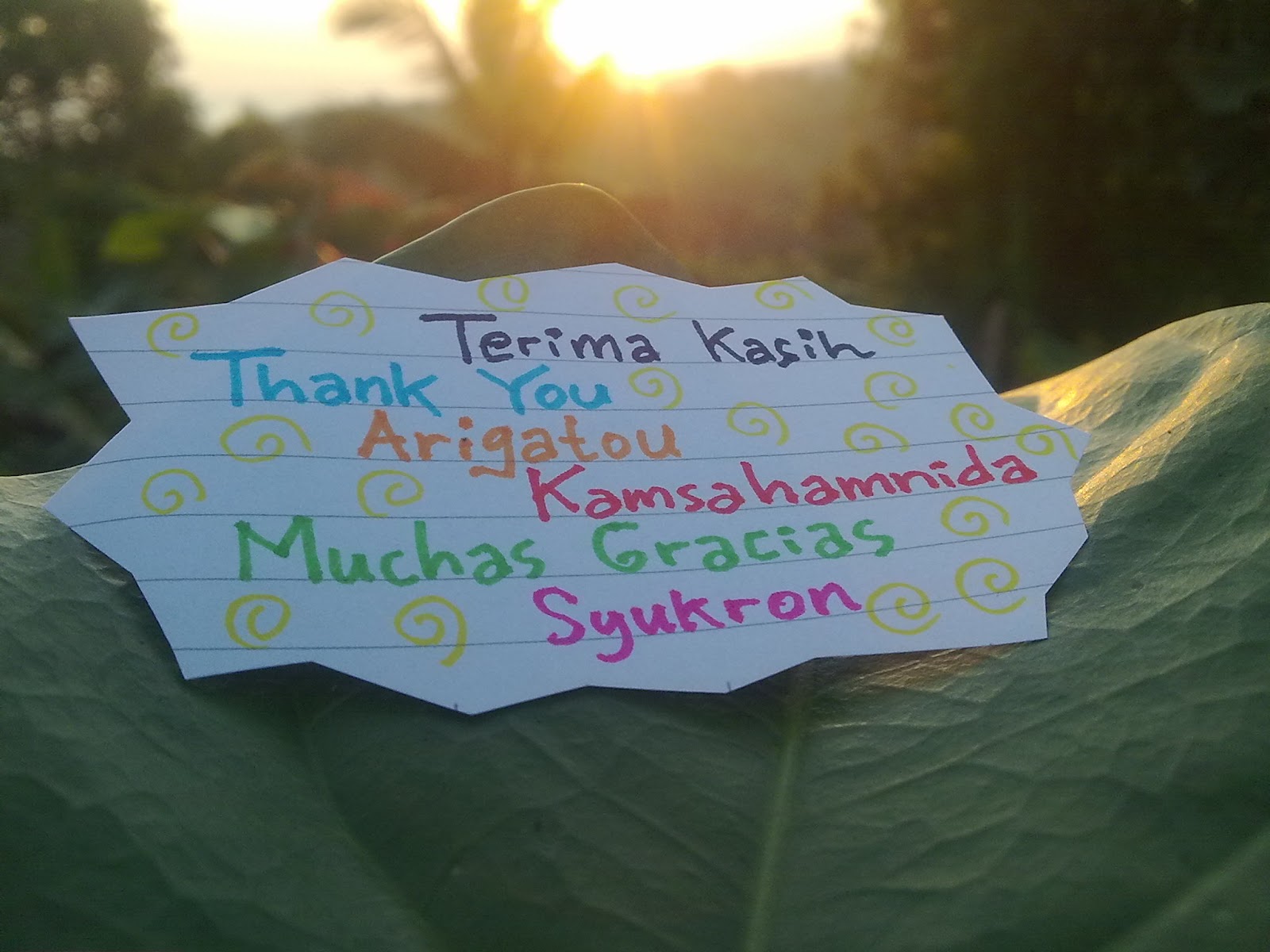 Hajimemashite, Poppy Angel: Ucapan Terima Kasih (Picture)