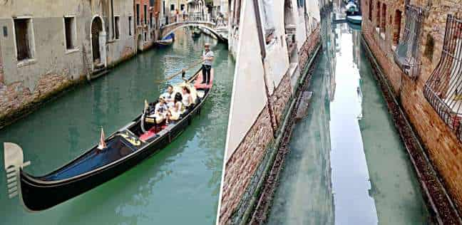 Fish move under the water of the Venice canals 