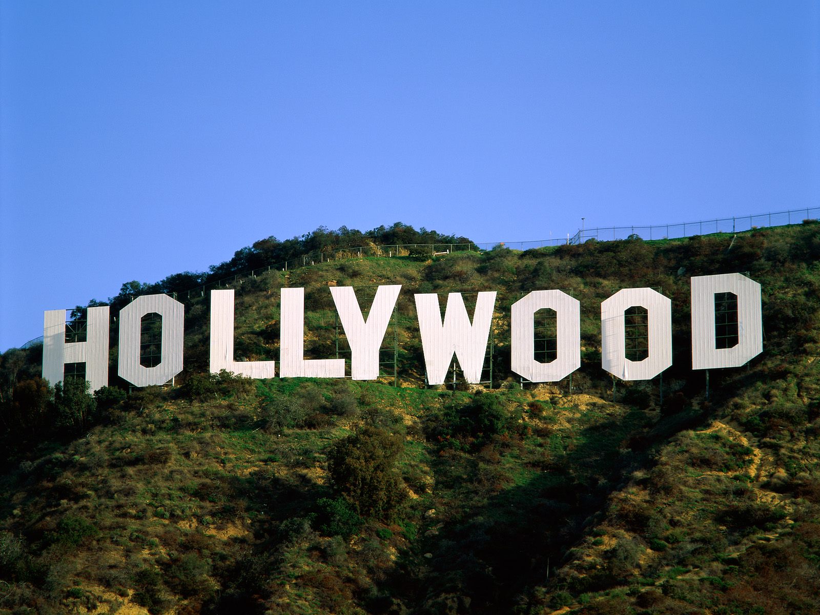 Download this Hollywood Hotel picture