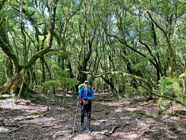 往登山口