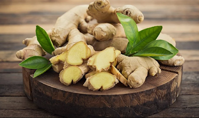 What Are Some of the Plants Used for Medicinal Purposes