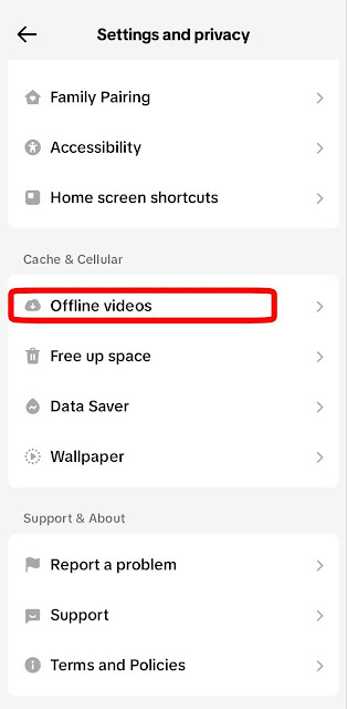 Tiktok Offline Videos Settins