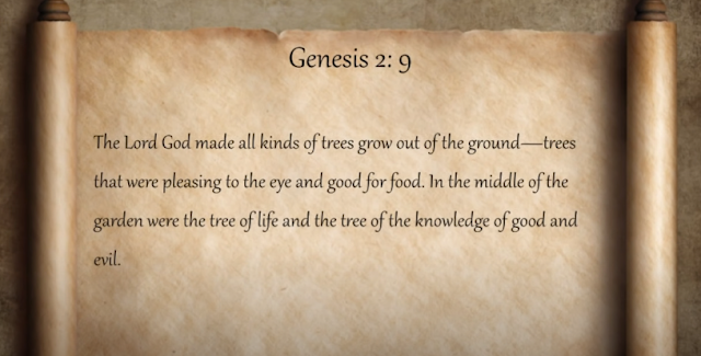 Bible Genesis 2:9