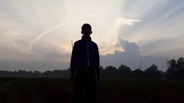 Foto seseorang di sawah ketika pagi hari