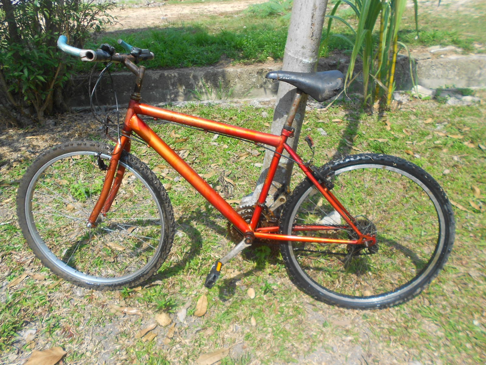 Cat Basikal Fixie