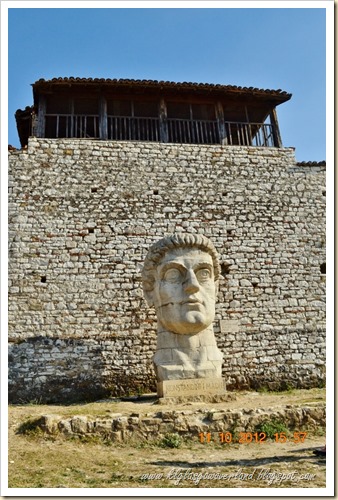 DSC_1776 (2) (678x1024)