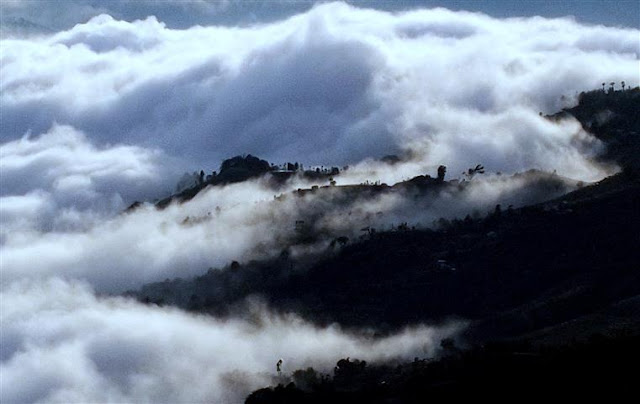 pakhribas and the fog