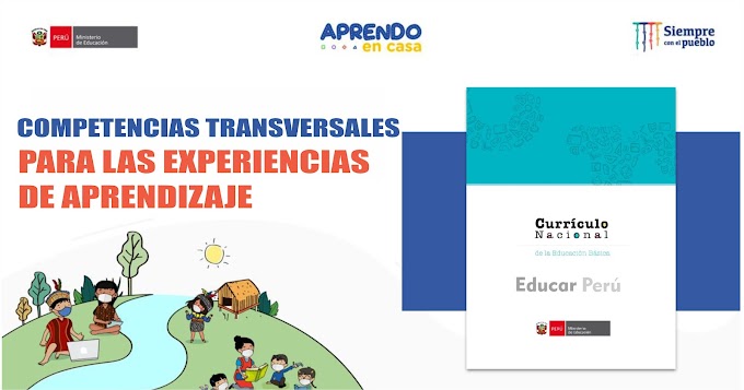 Competencias Transversales en las Experiencias de Aprendizaje