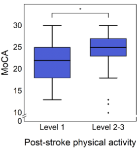 脳卒中後の身体活動レベルとMoCA