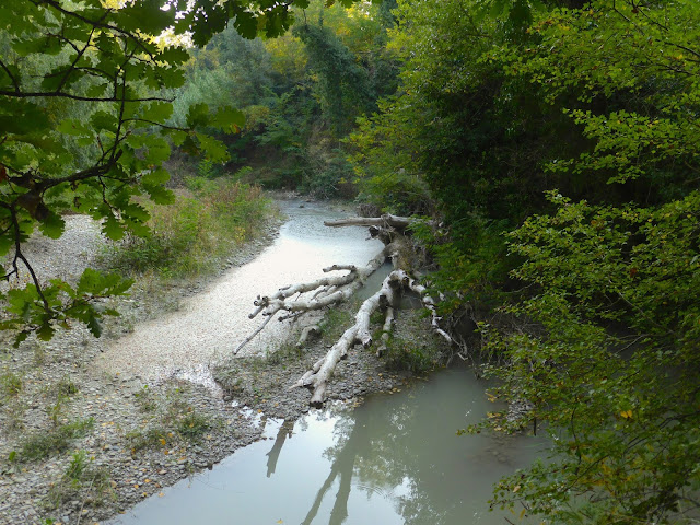 Oasi-Fluviale-del-Molino-Grande-Bologna