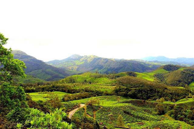 Eravikulam National Park, Munnar