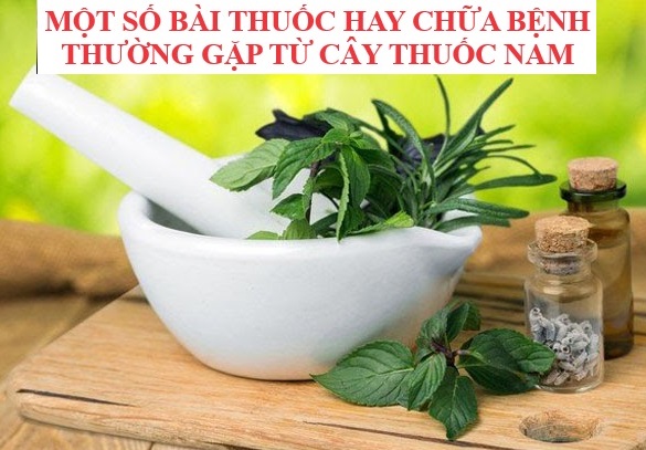 Tự Chữa Bệnh Bằng Cây Thuốc Nam - MỘT SỐ BÀI THUỐC HAY (Phần 4)