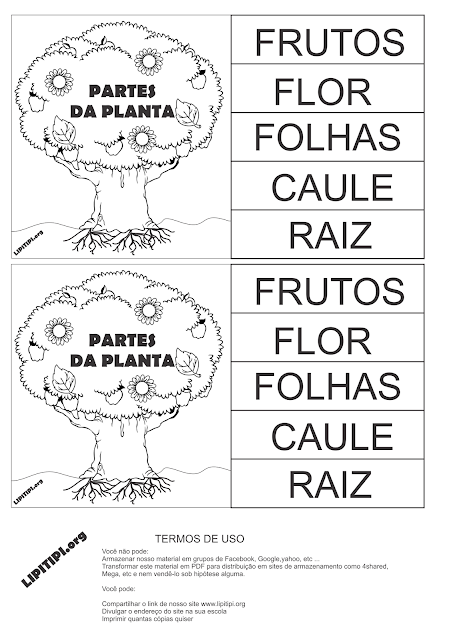 Funções das Partes da Planta Atividade Recorte Colagem e Escrita