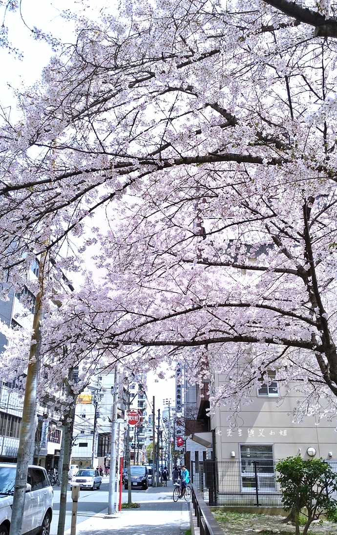 5 大阪賞櫻景點 堀江公園 味處和風亭