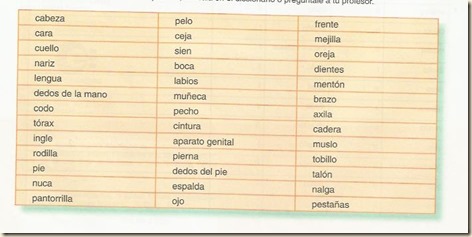 nuestro cuerpo