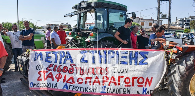 Γ. Πάζιος: «Όχι άλλη υποκρισία και φαρισαϊσμός – Εδώ και τώρα κατώτατη τιμή στο 1,50 ευρώ στην σταφίδα» 