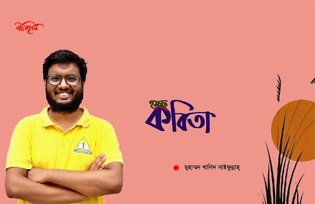 মুহাম্মদ খালিদ সাইফুল্লাহ্ এর কবিতা 