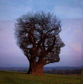 Human Face Like Tree