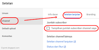 sembunyikan youtube subscriber