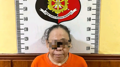 Janjikan Pinjaman untuk Nyaleg, Ibu Ini Ternyata Penipu