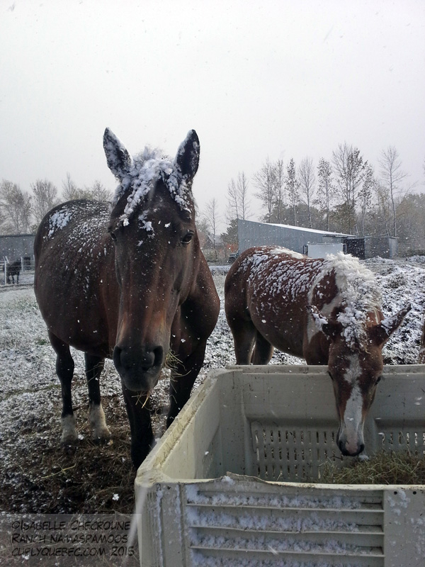 Ca Frise La Passion L Hiver Arrive Bis Repetita