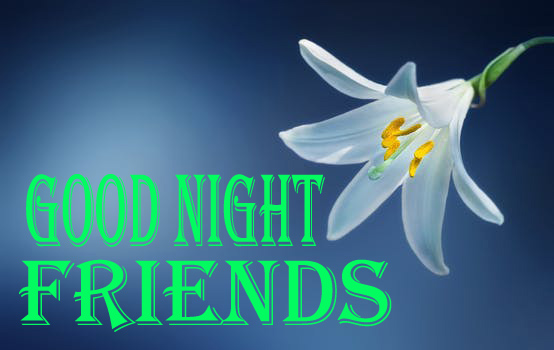 Good Night Flowers Images for Friends