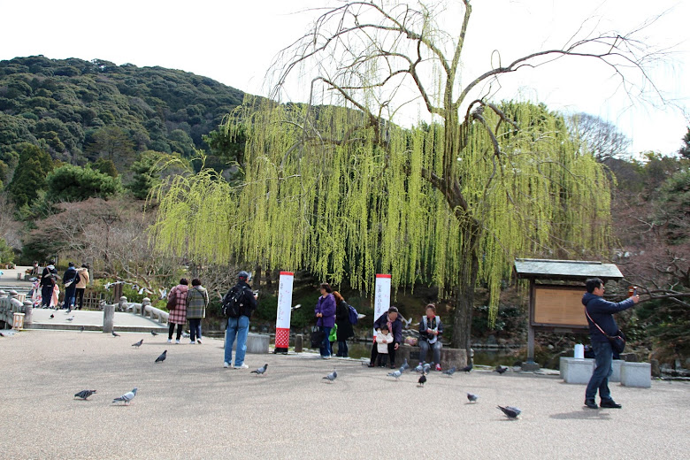 円山公園