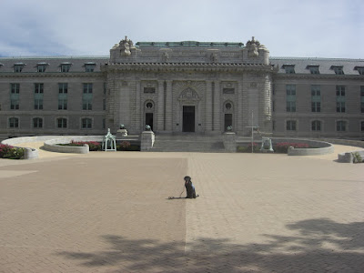 Picture of Rudy in a sit-stay by him self.  He's in front of the USNA dorm building.  Which is the biggest dorm building around!