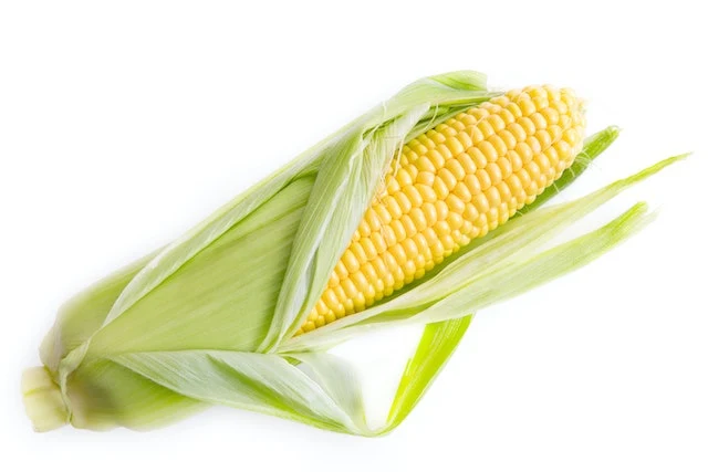 jagung jagung