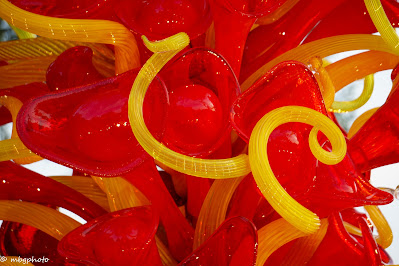Section of Chihuly Art