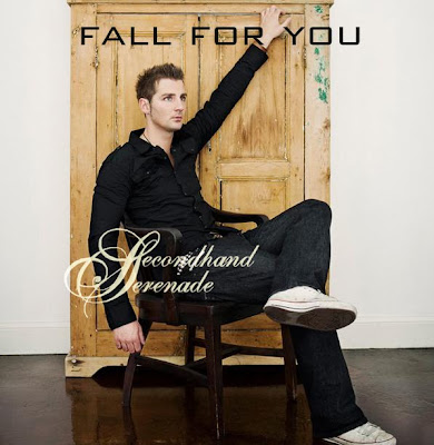 Secondhand Serenade - Fall For You Lyrics