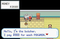 Pokemon My Ass Screenshot 08