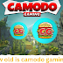 How old is camodo gaming 
