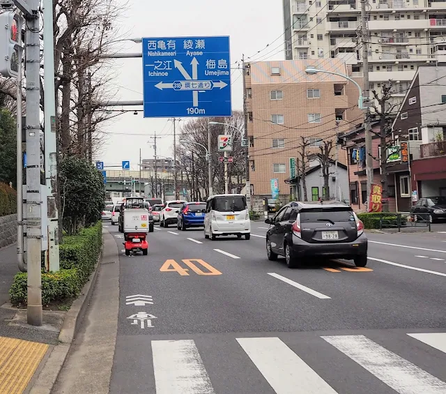 環七　大谷田陸橋