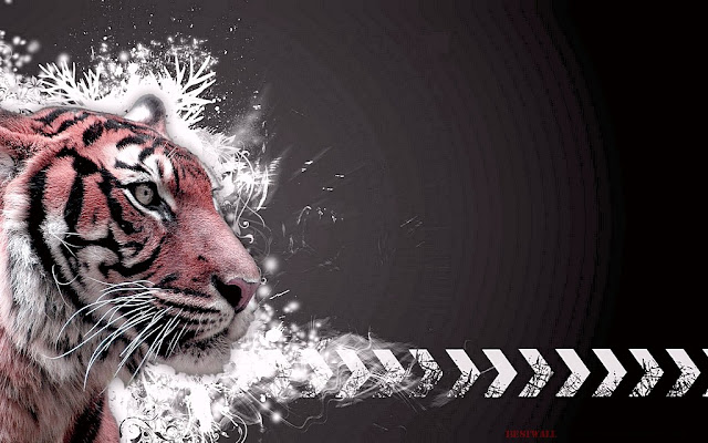 TIGER - Jungle Animals HD Wallpaper