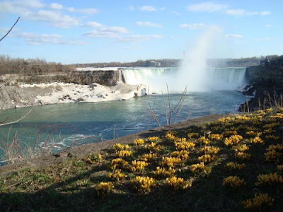 beautiful waterfall pictures