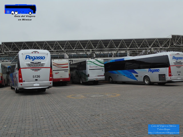 Autobuses Pegasso