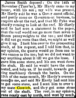 Otago Witness 12 January 1866